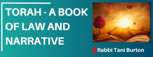 PARSHAT VAYECHI 5785 – THE CONNECTION BETWEEN HUMILITY AND GRATITUDE