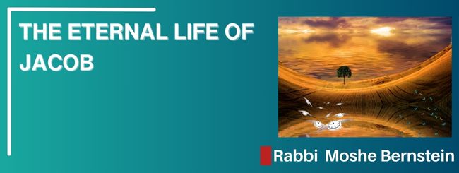 VAYECHI 5785 – THE ETERNAL LIFE OF JACOB