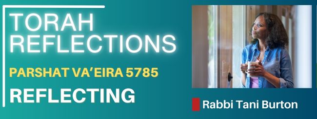 PARSHAT VA’ERIA 5785 – REFLECTING