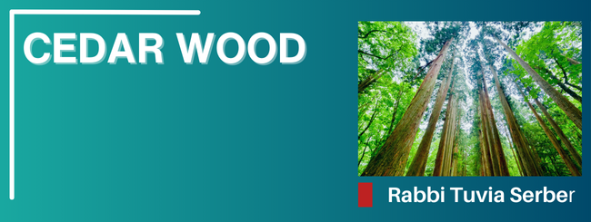 PARASHAT TERUMAH 5785 – CEDAR WOOD
