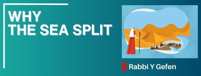 PARSHAT  BESHALACH 5785 – WHY THE SEA SPLIT