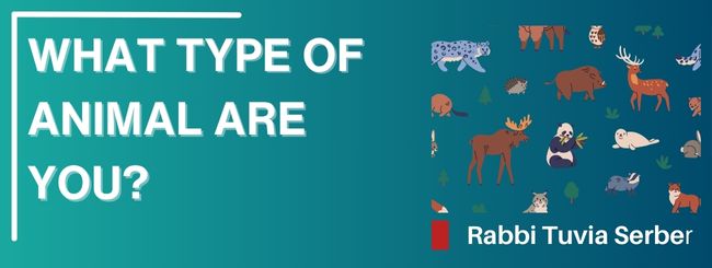 PARSHAT MISHPATIM 5785 – WHAT TYPE OF ANIMAL ARE YOU?