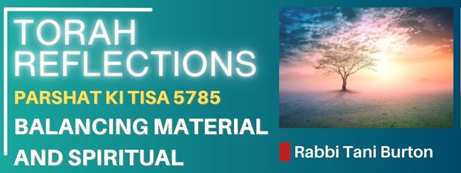 PARSHAT KI TISA 5785 – BALANCING MATERIAL AND SPIRITUAL