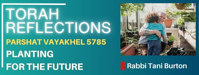 PARSHAT VAYAKHEL 5785 – PLANTING FOR THE FUTURE