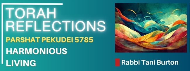 PARSHAT PEKUDEI 5785 – HARMONIOUS LIVING