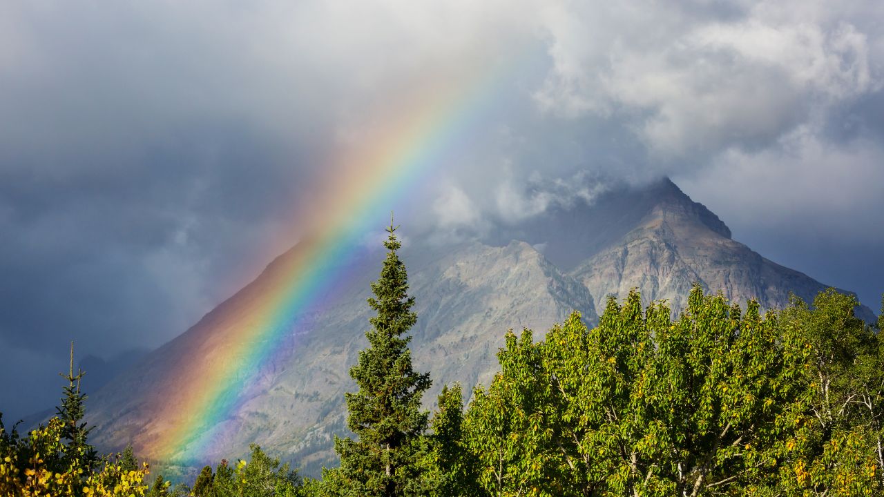 TEACHING THE 7 NOAHIDE LAWS