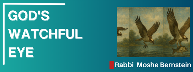 PARSHAT SHEMINI 5785 – G-D’S WATCHFUL EYE