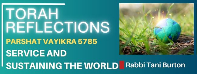 PARSHAT VAYIKRA 5785 – SERVICE AND SUSTAINING THE WORLD
