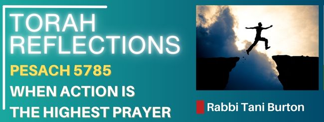 PESACH 5785 – WHEN ACTION IS THE HIGHEST PRAYER