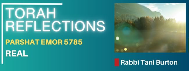 PARSHAT EMOR 5785 – REAL