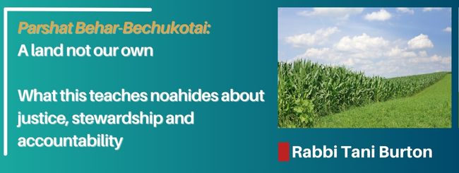 PARSHAT BEHAR-BECHUKOTAI – A LAND NOT OUR OWN