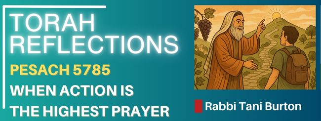 PARSHAT SHELACH 5785 – YIELDING AND RECEIVING