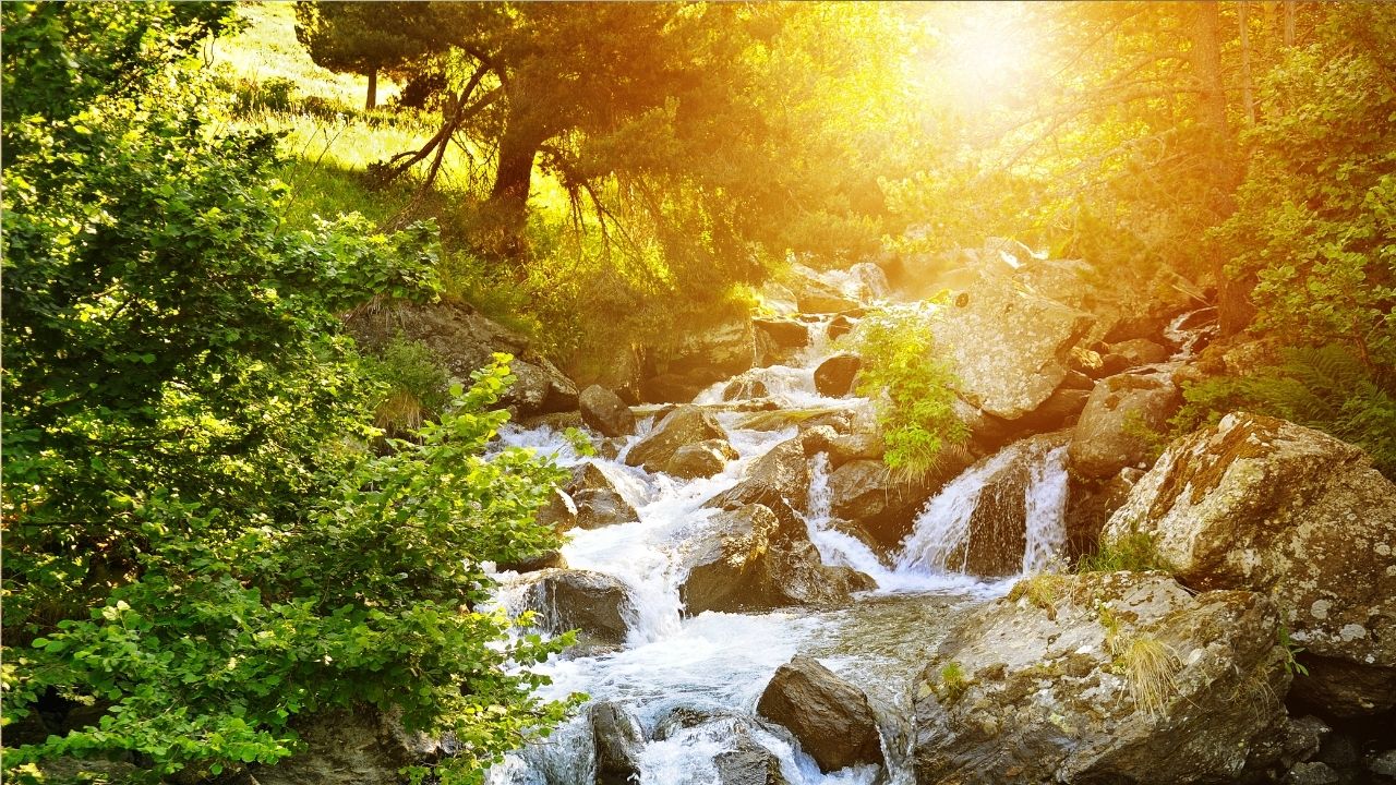 EXODUS 6:3 – TO THE PATRIARCHS