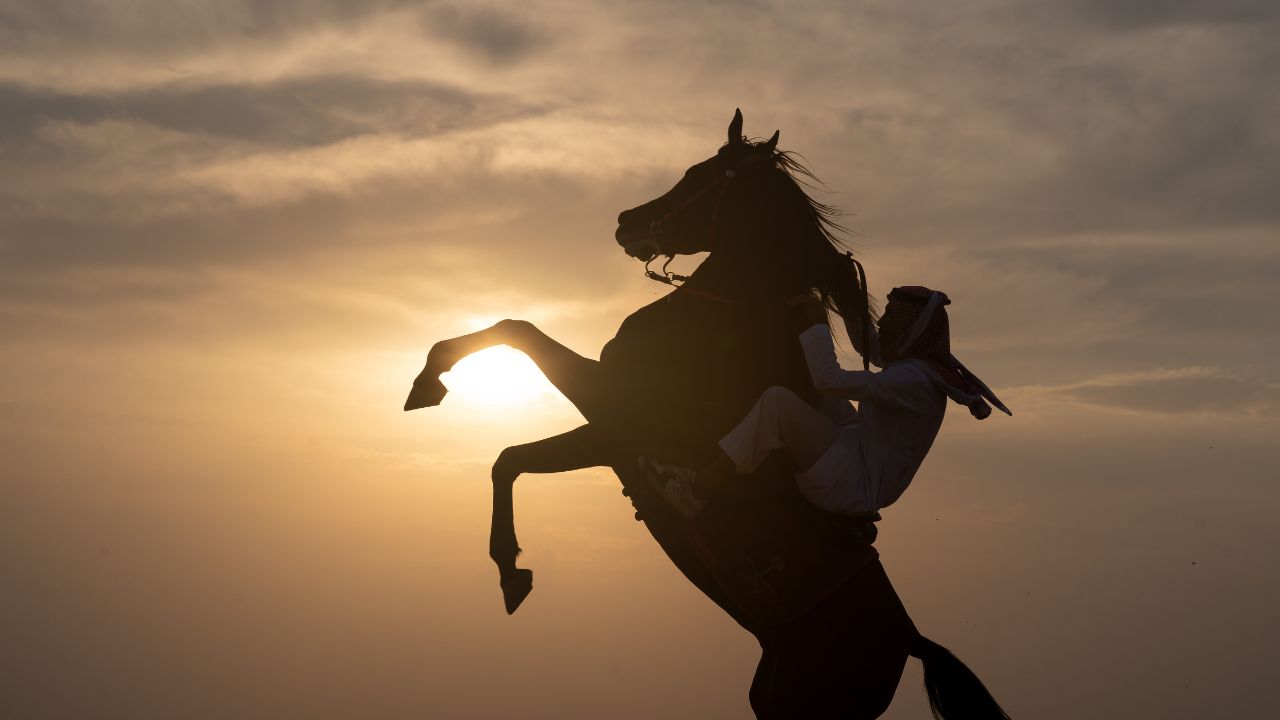 REFLECTIONS ON: PARSHAT SHOFTIM 5785 – WHAT’S THE DEAL WITH HORSES?