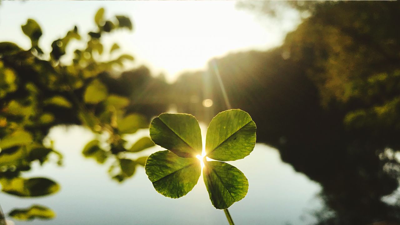 PARSHAT RE’EH – BLESSING AND CURSE