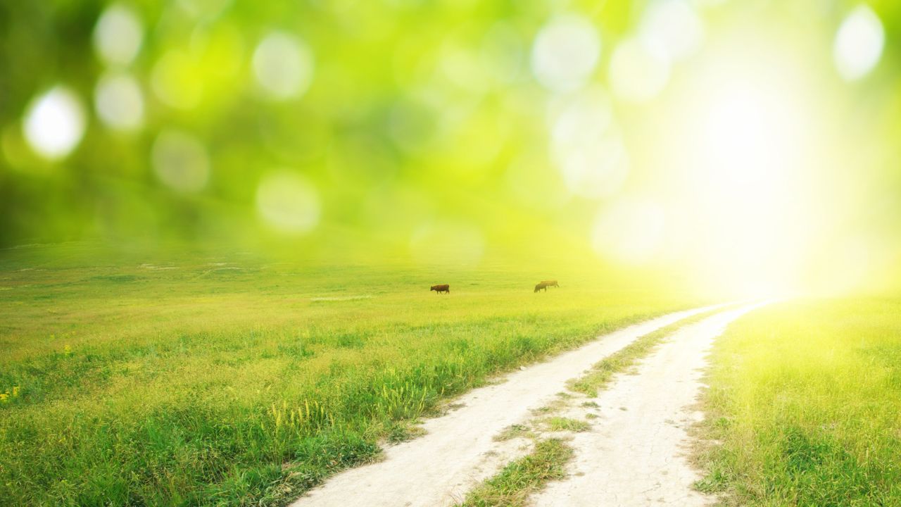 PARSHAT NITZAVIM 5785 – INSIDE OF YOU