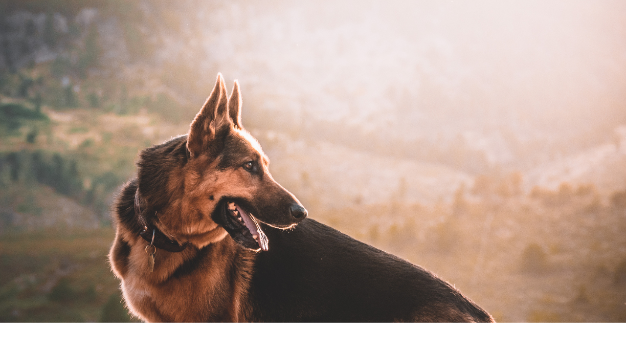 EXODUS 22:30 – LOYALTY IN ROUTINE