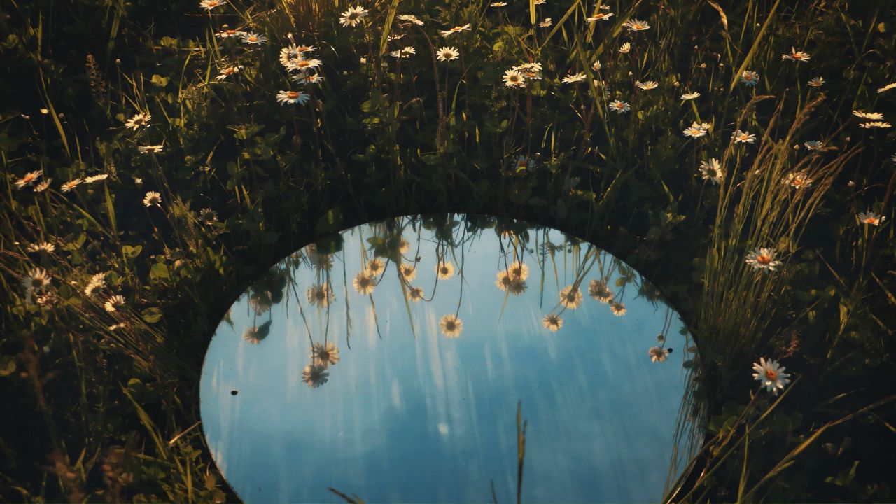 PARSHAT NOAH 5786- WHAT DO YOU SEE WHEN YOU SEE?