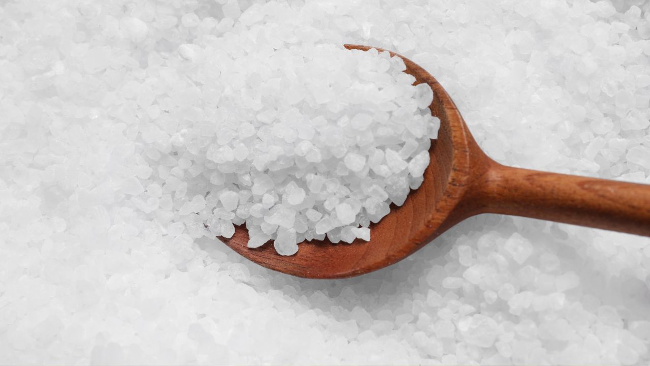 REFLECTIONS ON PARSHAT – CHAYEI SARAH 56786- THE SALT OF THE EARTH