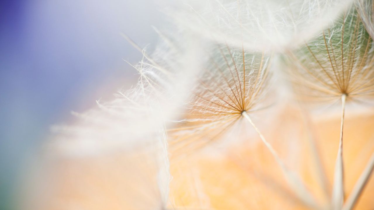 THE SOUL OF NON-JEWS