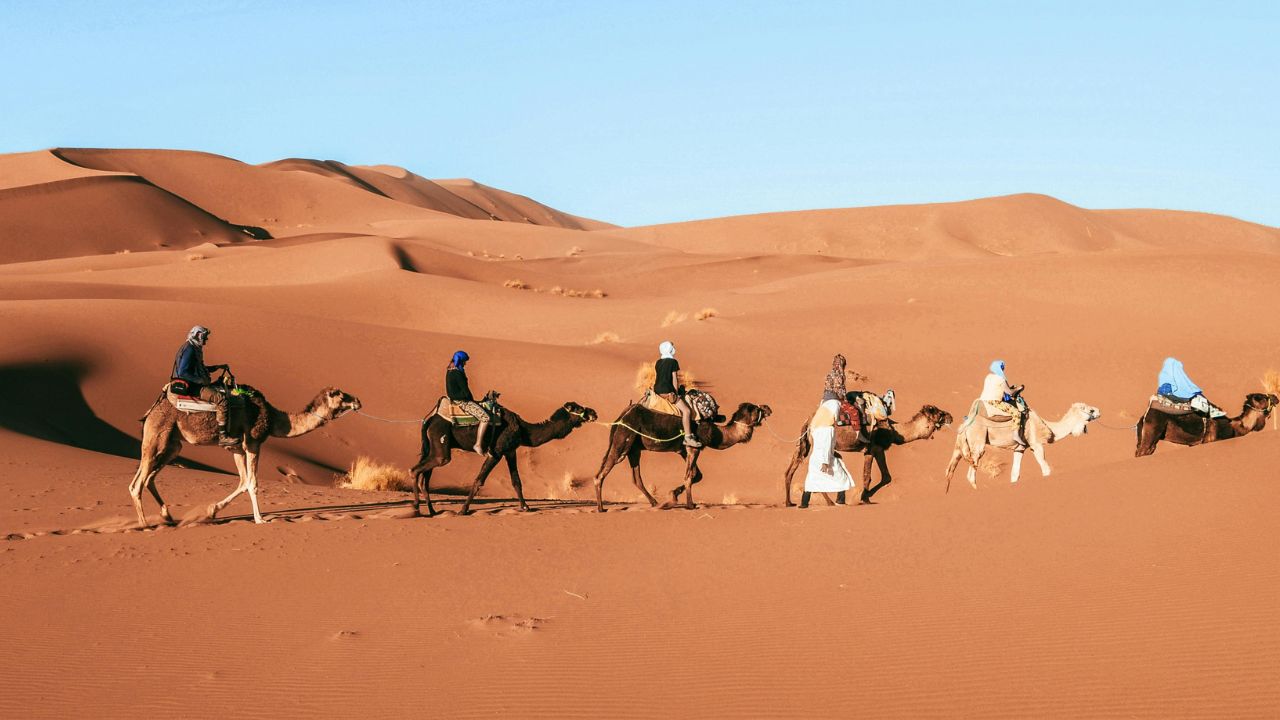 PARSHAT VAYEITZEI – LONGING