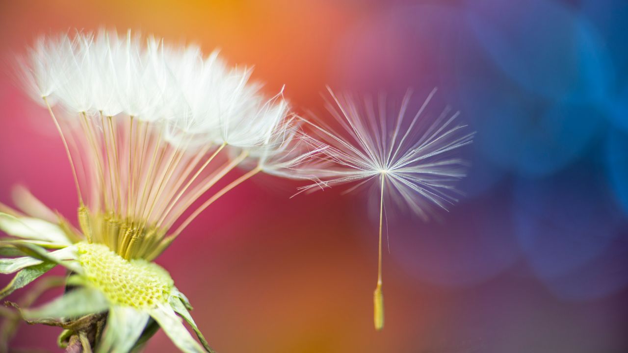 PARSHAT VAYISHLACH – BEING ALONE