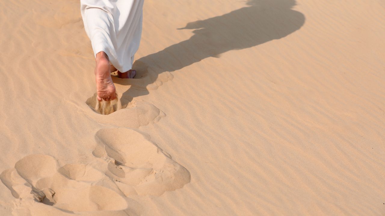 REFLECTIONS ON PARSHAT – VAYISHLACH 5786 – SEEING WHAT’S COMING