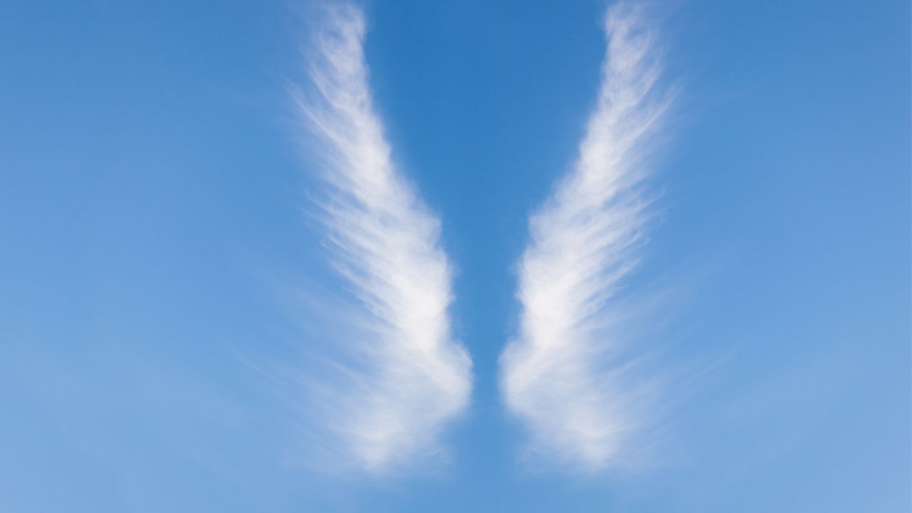 PARSHAT VAYISHLACH – REAL ANGELS