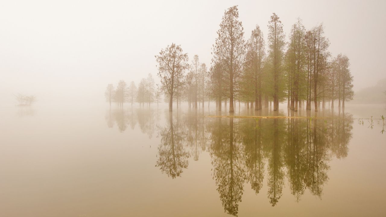 REFLECTIONS ON PARSHAT – VAYIGASH 5786: THE WEIGHT OF SILENCE