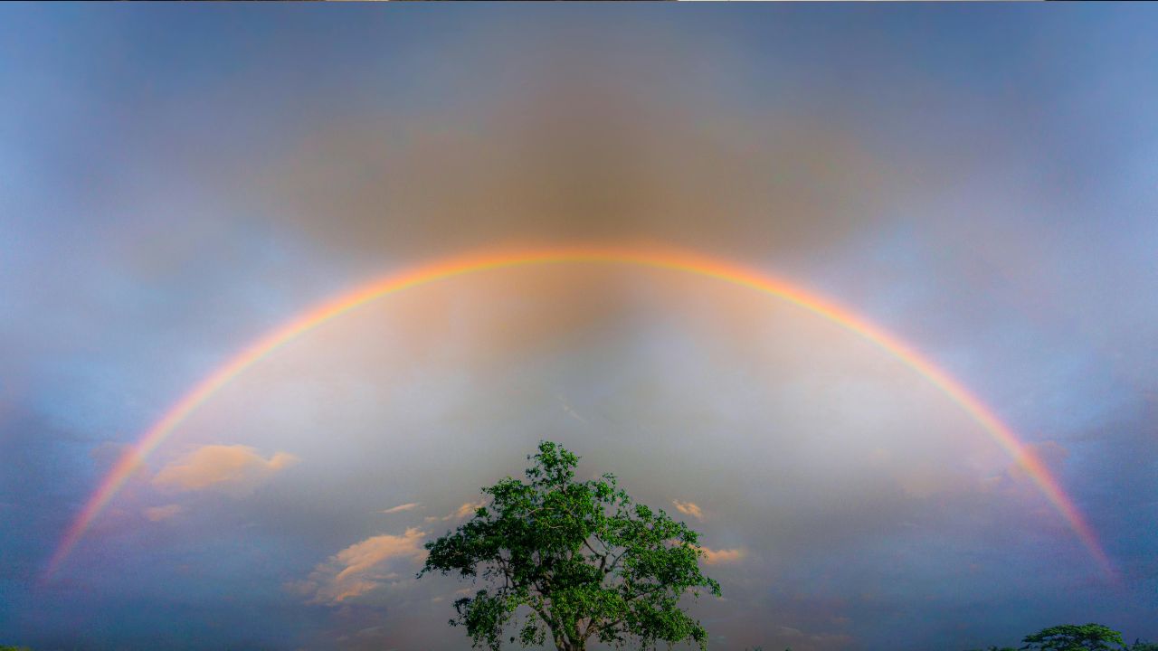 SO YOU’RE A NOAHIDE – NOW WHAT?