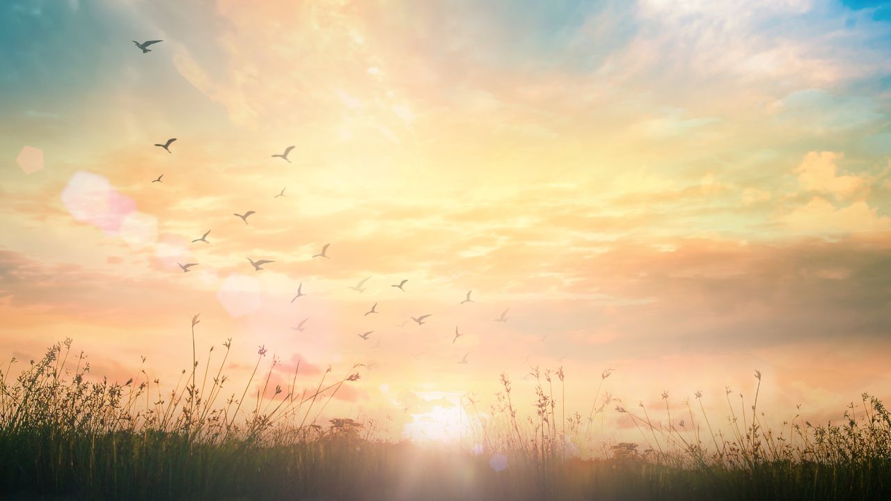 THE MESSIAH IS NOT HERE – IS IT THE JEWS’ FAULT?