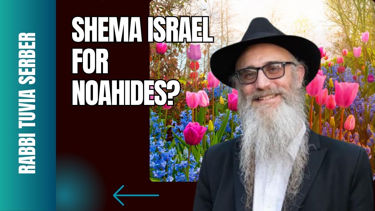 SHEMA ISRAEL FOR NOAHIDES?
