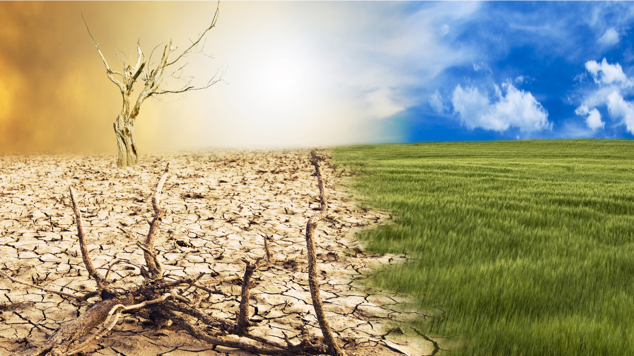 LEVITICUS 6:4 – CHANGE FOR THE BETTER