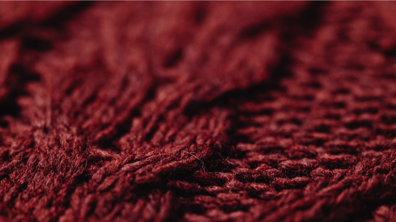 REFLECTIONS ON PARSHAT TAZRIA-METZORA 5786 – HEALING THE POWER OF SPEECH FROM THE INSIDE