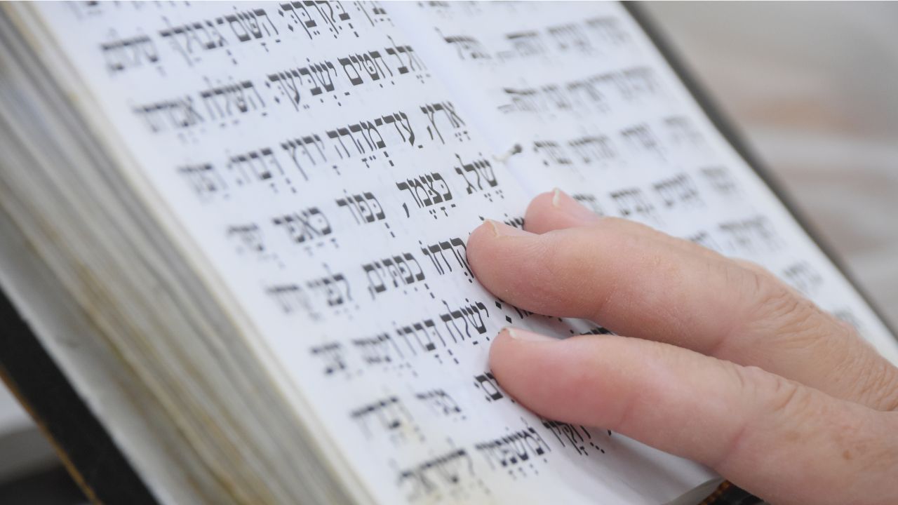 BNEI NOACH AND TORAH