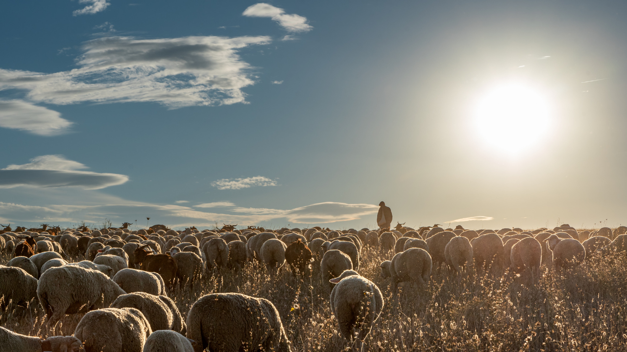 G-D NEVER COMMANDS THE IMPOSSIBLE