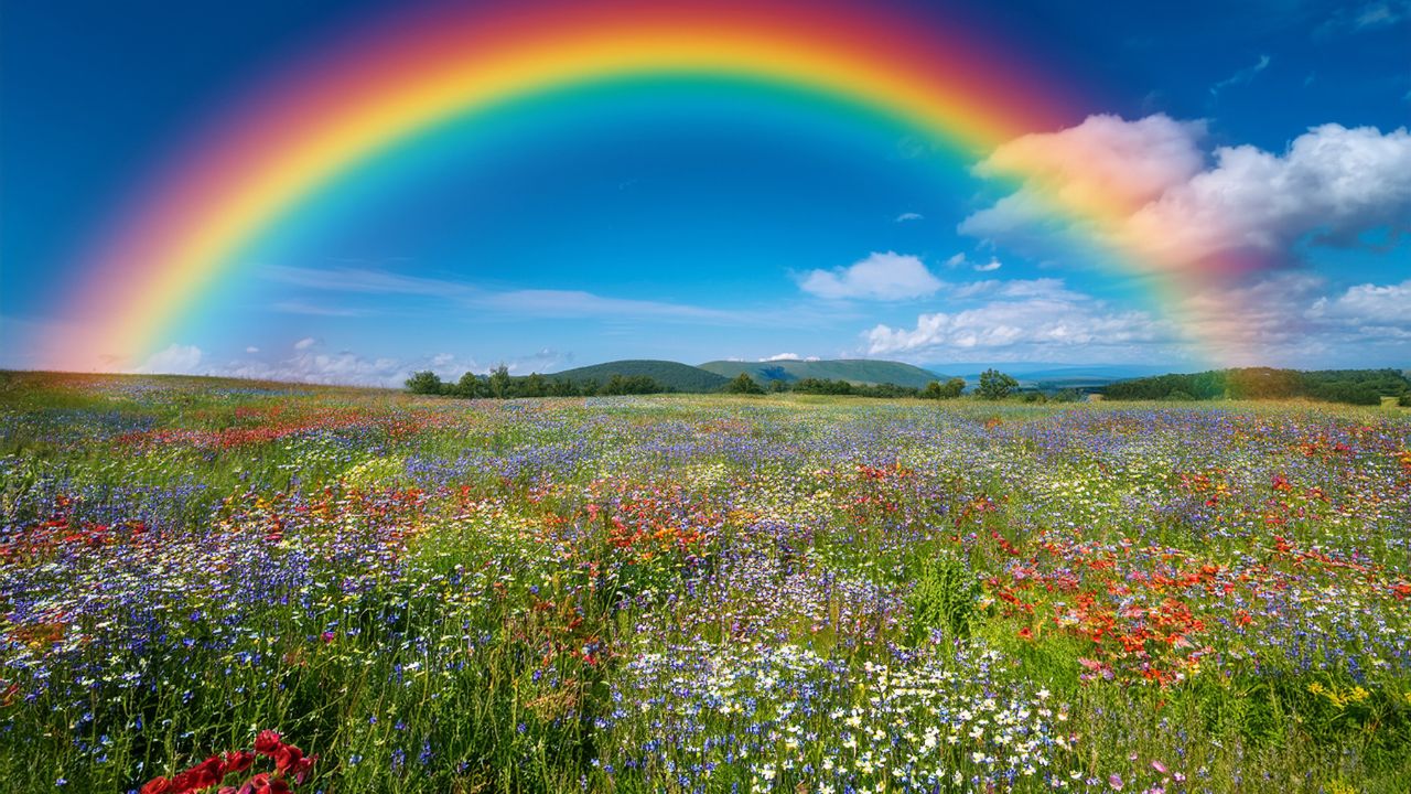 WHAT DOES THE RAINBOW REALLY MEAN?